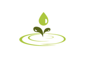 Eco-Friendly Habits for a Greener Lifestyle