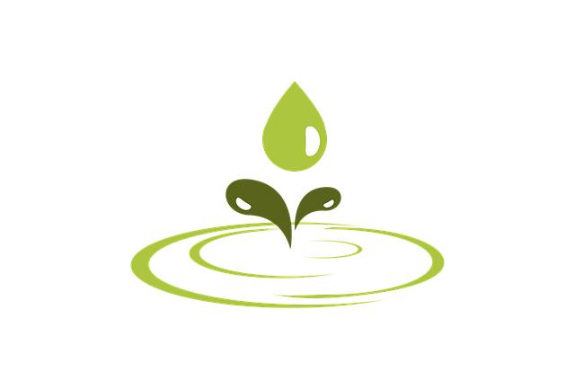 Eco-Friendly Habits for a Greener Lifestyle