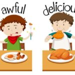 Delicious and Healthy Dinner Recipes for Families