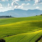 Green Farming: Innovations in Agriculture