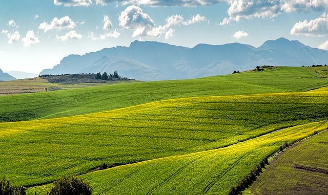 Green Farming: Innovations in Agriculture