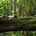 Exploring the Benefits of Forest Bathing