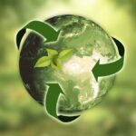 Sustainable Gift Ideas for an Eco-Friendly Holiday Season