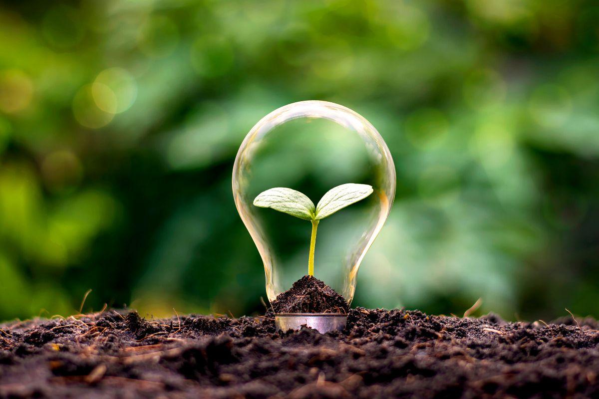 Sustainable Investments: Seizing⁢ Eco-Friendly Opportunities Ahead