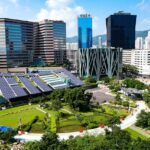 Sustainable Holiday Decorations: How to Reduce Your Environmental Impact