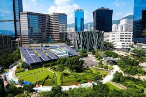 Sustainable Holiday Decorations: How to Reduce Your Environmental Impact