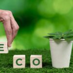 How to Plan an Eco-Friendly, Low-Waste Holiday Season