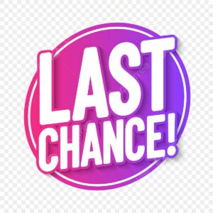 Last-Chance Opportunities: Best 2024 Investments Before Year-End