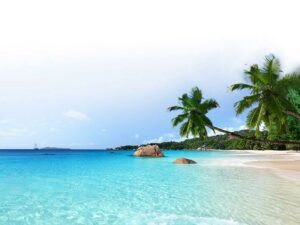 Holiday Self-Care: 7 Practices to Stay Balanced and Happy