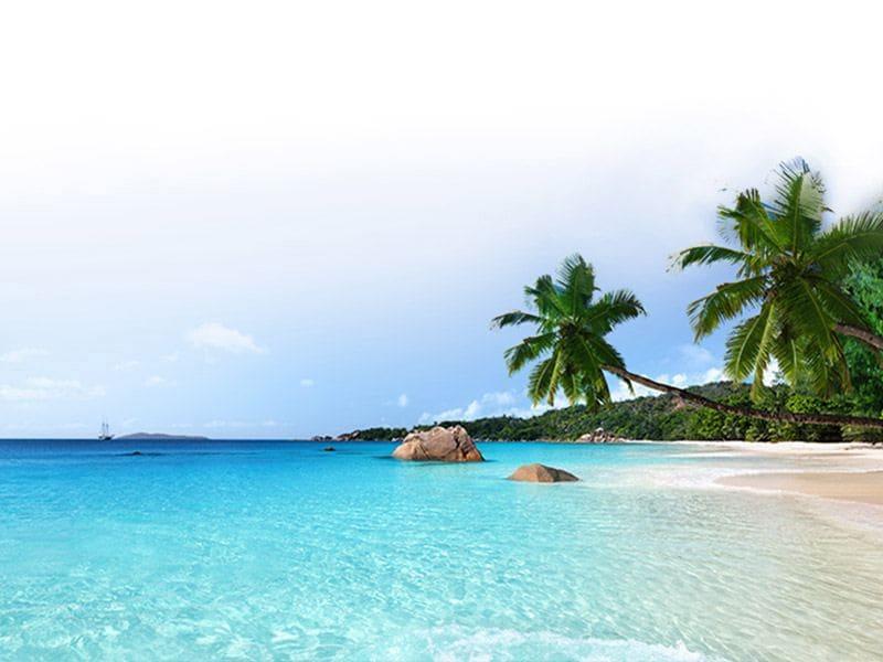 Holiday Self-Care: 7 Practices to Stay Balanced and Happy
