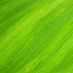 Green Holiday Gift Ideas for a More Sustainable 2025
