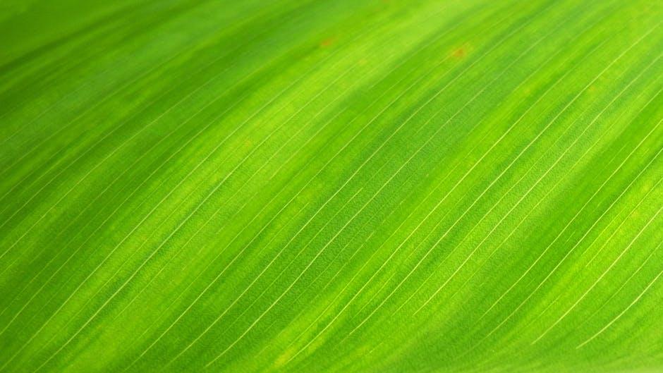 Green Holiday Gift Ideas for a More Sustainable 2025