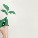 Sustainable Beauty Products You Need in Your Routine