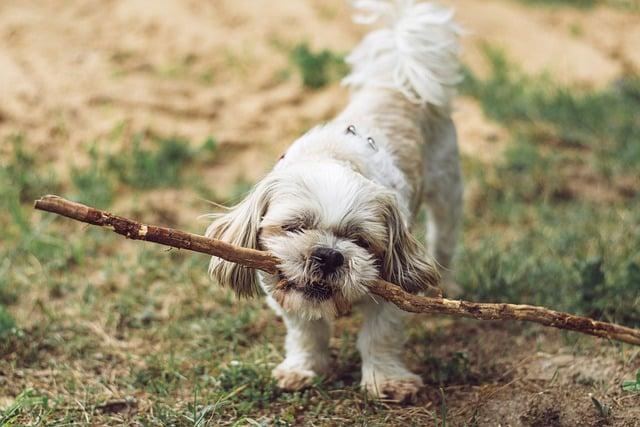 How to Stick to Your New Year’s Resolutions All Year Long