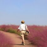 The Best Travel Destinations You Must Visit This Year