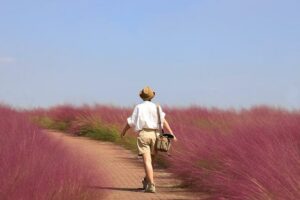 The Best Travel Destinations You Must Visit This Year