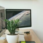 Top Freelance Jobs That Can Be Done with AI Help