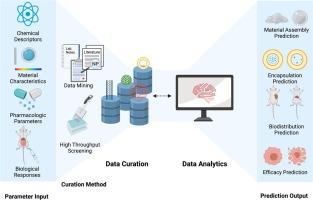 Leveraging Machine Learning for Personalized Content Curation