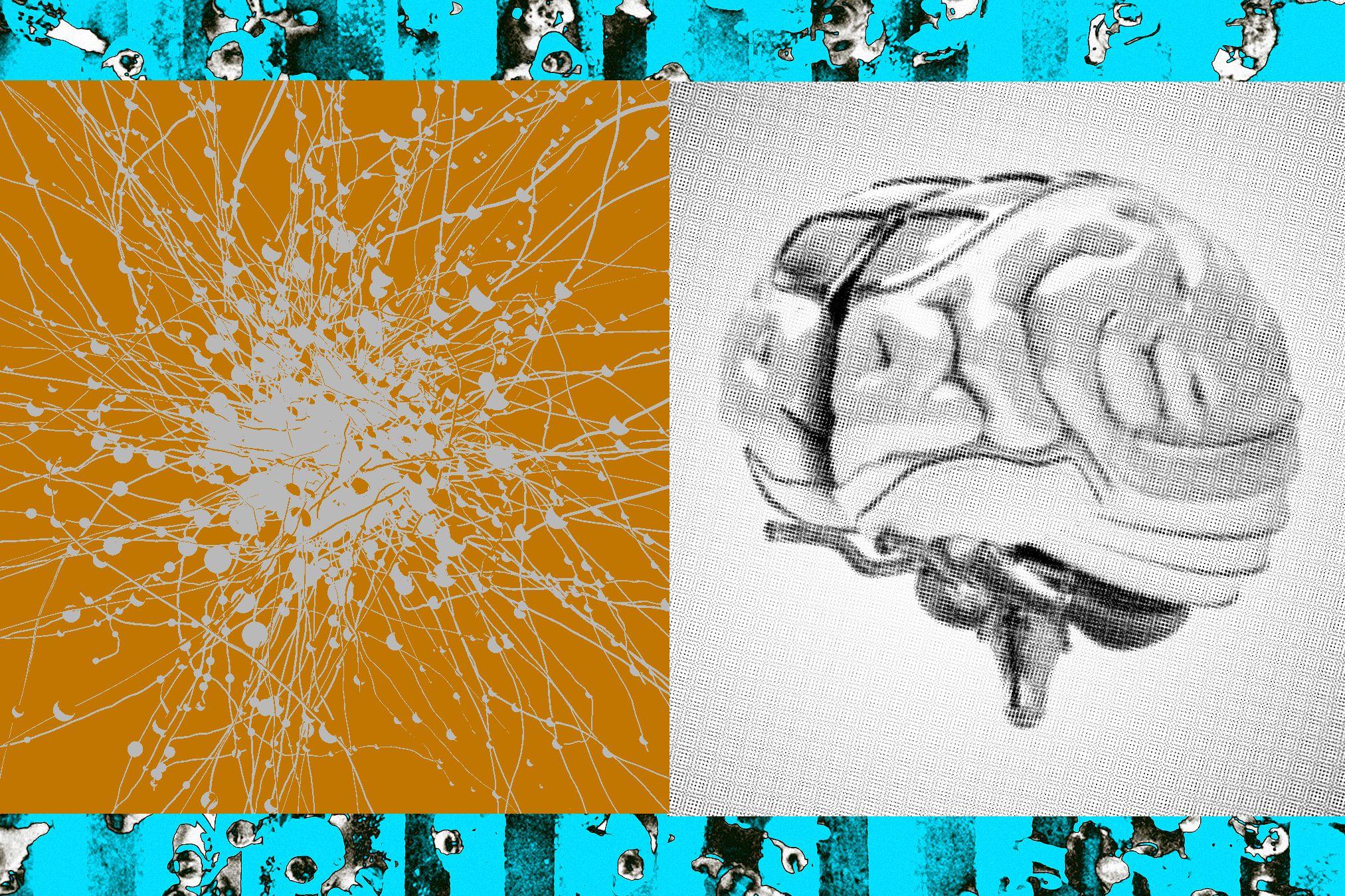 Exploring Advanced Features of Leading AI Moderation Tools