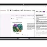 Best AI Tools to Study More Effectively