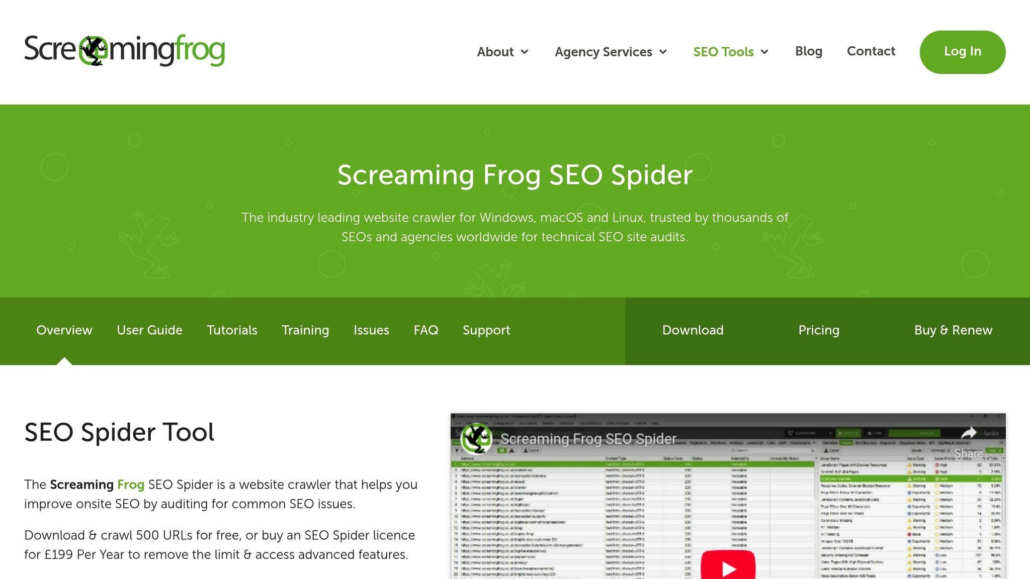 In-Depth Analysis of Features Driving SEO Success