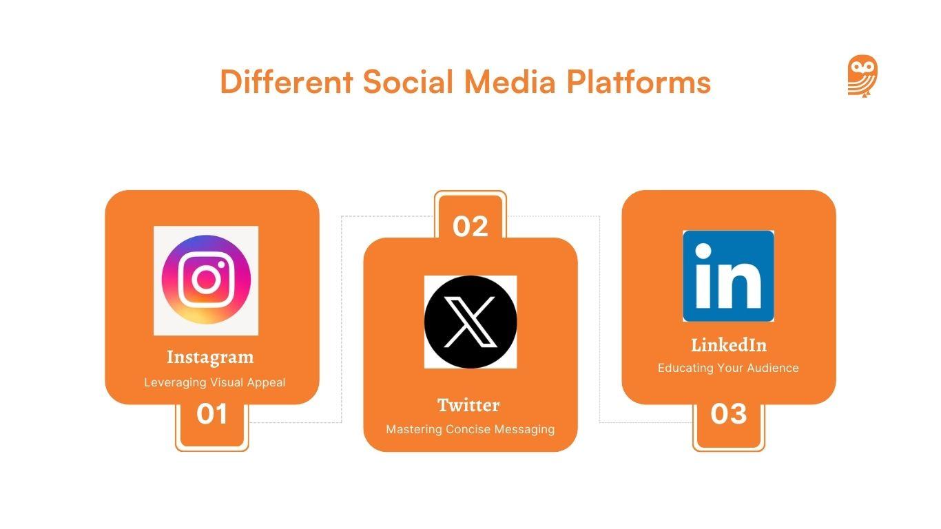 Top Recommendations for Tailored Social Media Strategies and Growth