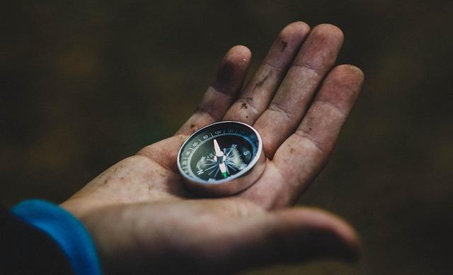 Optimizing Travel Budget and Timing with Predictive AI Models