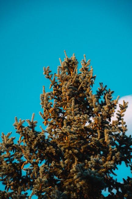 Automating Idea Categorization with Machine Learning Algorithms
