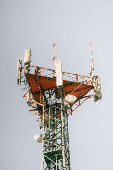 Using Predictive Analytics to Turn Customer Signals into Actionable Strategies