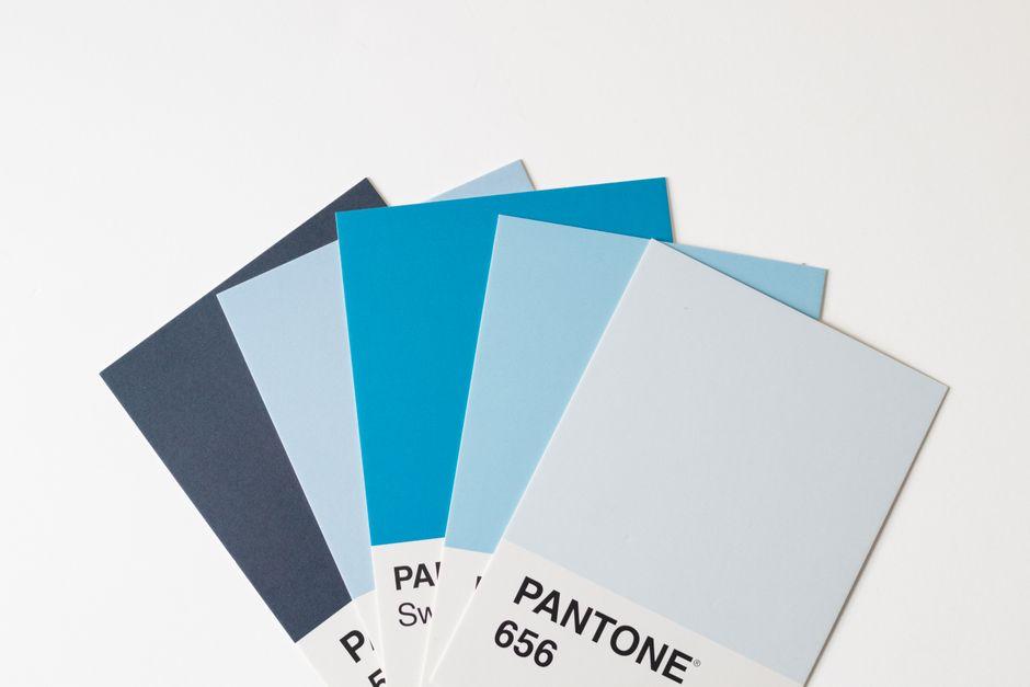 Understanding Color Theory Basics to Expand Your Brand Palette