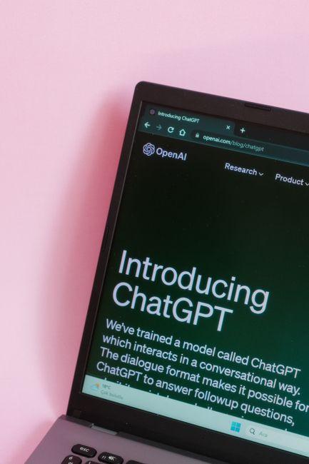 How to Use Divi AI to Build a Professional Website in Half the Time