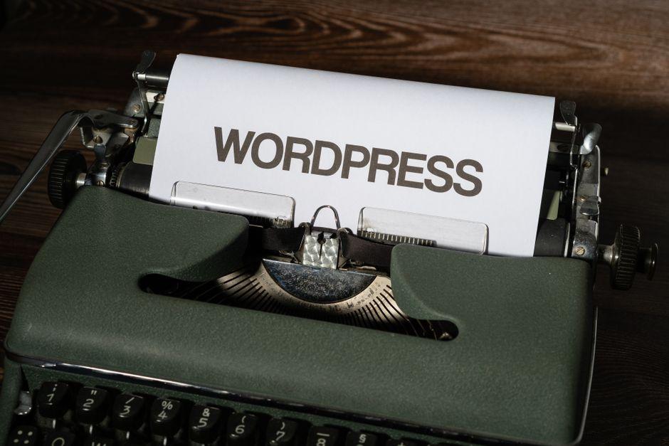 Creating Accessible Forms: How to Improve Focus States in WordPress