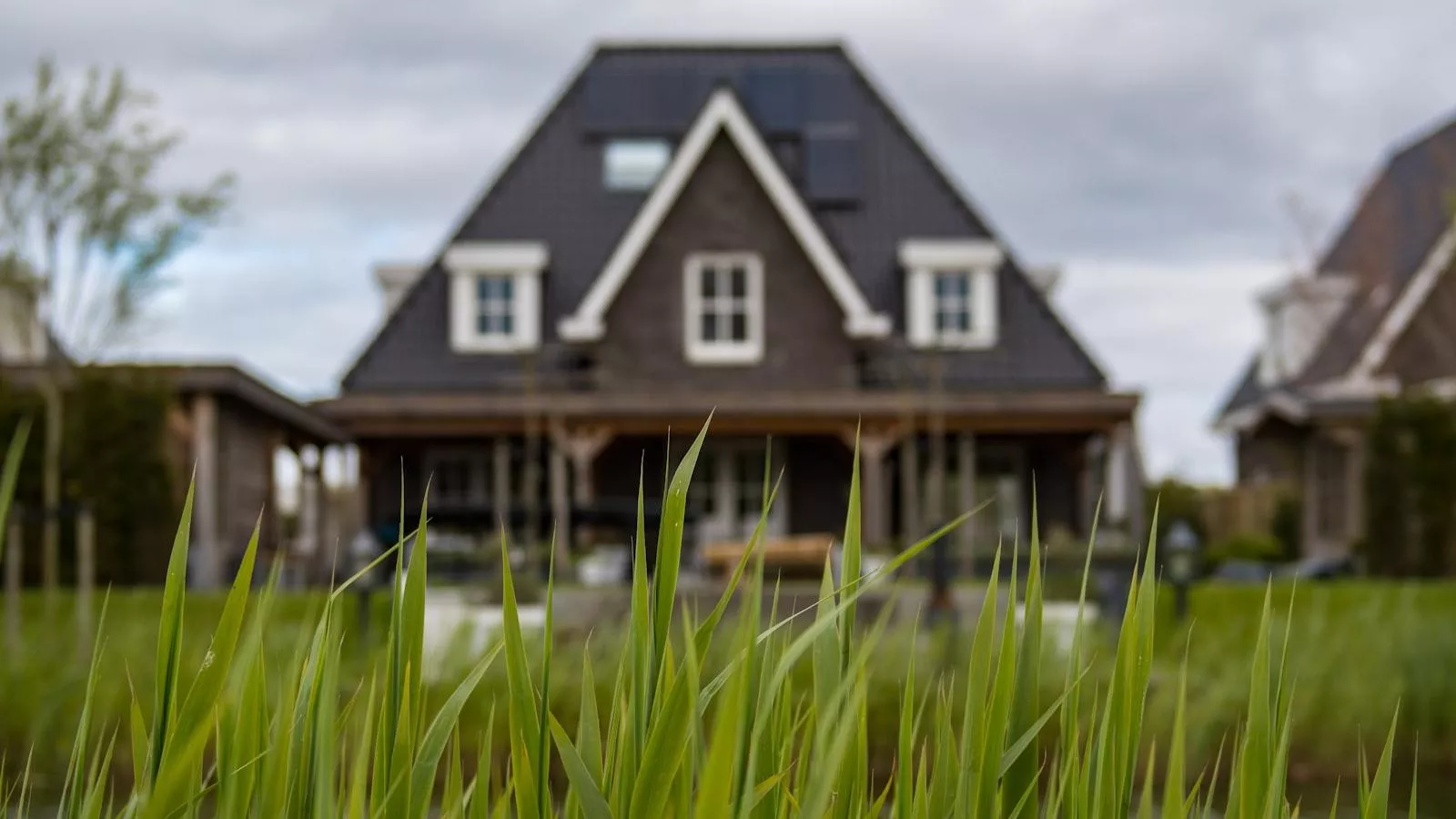 Green Living: Simple Steps for a Sustainable Lifestyle